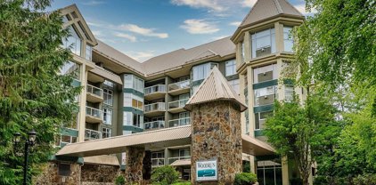 4910 Spearhead Place Unit 203, Whistler