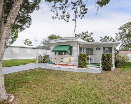 163 Philadelphia Boulevard, Palm Harbor