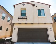 31550 Alicante, Winchester image