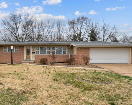2 Filly  Court, Florissant