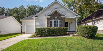 1520 Jeffrey Bryan  Drive, Charlotte