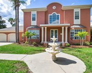 10323 Carroll Cove Place, Tampa image