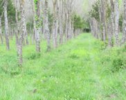 Tract 1 Renick Road, Oak Grove image
