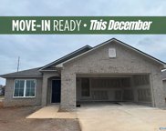 213 Shannan Street Sw, Decatur image