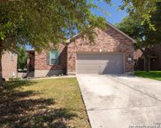 6706 Alpine Crest, Live Oak image