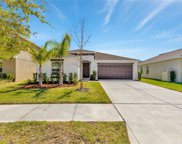 17232 White Mangrove Drive, Wimauma image