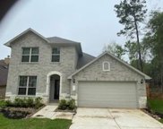 13718 Vail Drive, Montgomery image