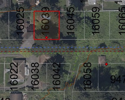 16039 9a Avenue, Surrey