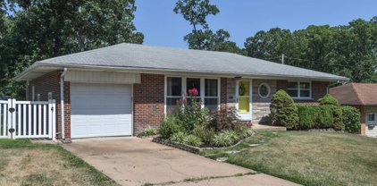 1322 Dallwood  Drive, St Louis