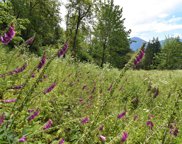 48859 Elk View Road, Chilliwack image