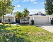 714 Belted Kingfisher Drive N, Palm Harbor image