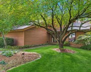 41W919 Denali Court, Elburn image