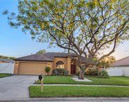 14916 Redcliff Drive, Tampa image