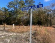 523 Robinson Acre Way, Summerville image