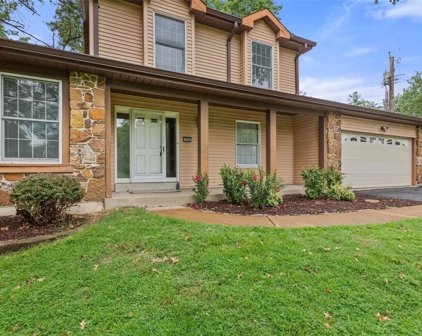 10895 Leebur  Drive, St Louis