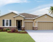 23302 Scaglione Drive, Lutz image