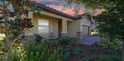 20910 Valore Court, Venice