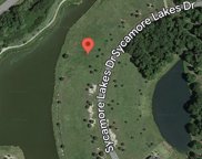 134 Sycamore Lakes Drive, Wallace image