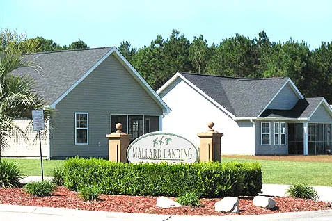 Homes in Mallard Landing