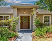 11436 Ocklawaha Drive, Leesburg image