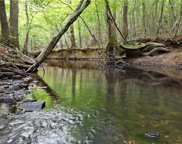 00 Blackberry Road, Thomasville image