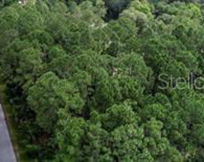 3 Potomac Drive, Palm Coast