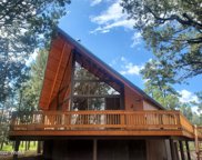 1511 Black Forest Lane, Pinedale image