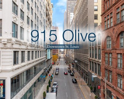 915 Olive  Street Unit #1113, St Louis
