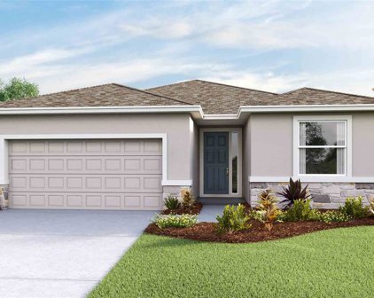 278 Mangrove Manor Drive, Apollo Beach