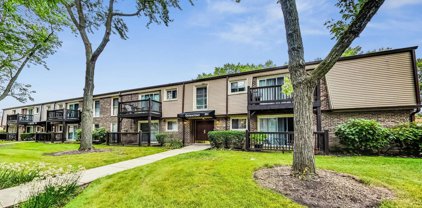 304 N Carter Street Unit #102, Palatine