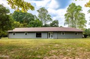 289 Mountain View Drive, Vonore image