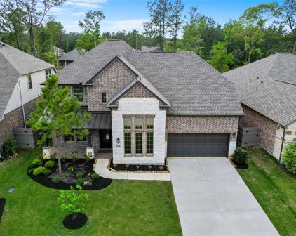 17646 Blushing Meadow Street, Conroe