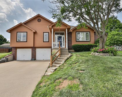 4603 SW 10TH TERRACE Court, Blue Springs