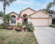 7137 Colony Pointe Drive, Riverview image