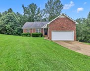 7505 Mayfair Ct, Fairview image
