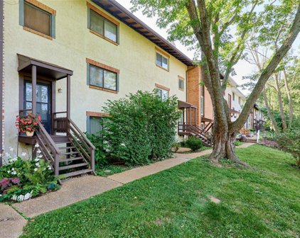 335 Carmel Woods  Drive, Ellisville
