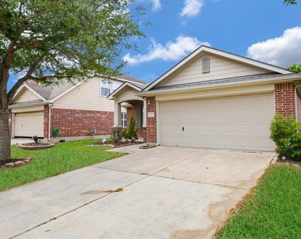 11407 Elizabeth Brook Drive, Richmond