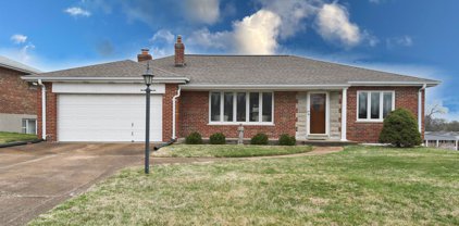 9864 Knollshire  Drive, St Louis