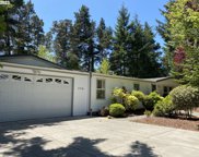 236 MUNSEL CREEK LOOP, Florence image