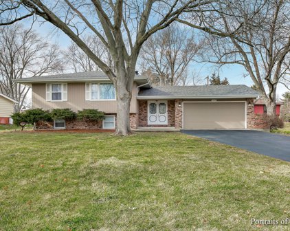 1044 86Th Street, Downers Grove