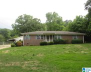 618 Pinewood Court, Bessemer image