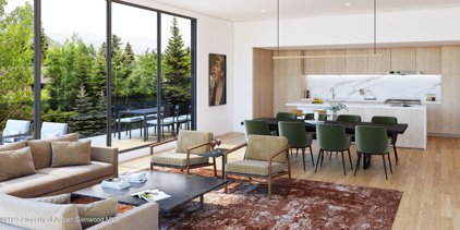 101 Willow Road Unit #103, Basalt