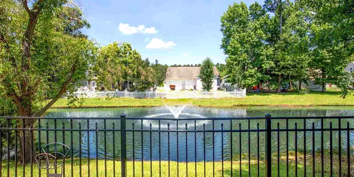 Pond in Bellegrove Preserve