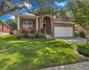 25046 Buttermilk Ln, San Antonio image
