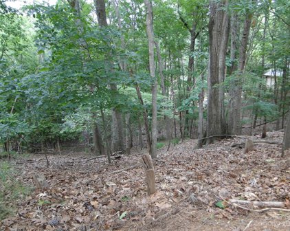 16086 Heron Run  Drive, Tega Cay