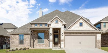 241 Bee Caves Cove, Cibolo
