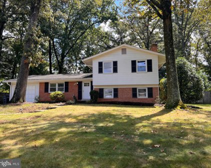 2429 Cedar Ln, Vienna