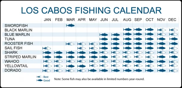 LOS CABOS FISHING CALENDAR