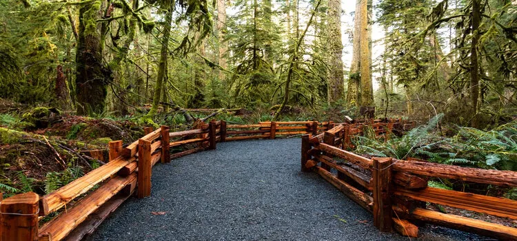 mcmilan park PARKSVILLE 