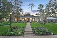 10103 Pine Forest Road, Houston image